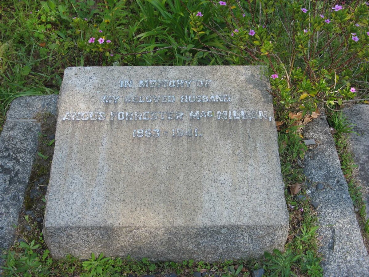 MacMILLAN Angus Forrester 1863-1941