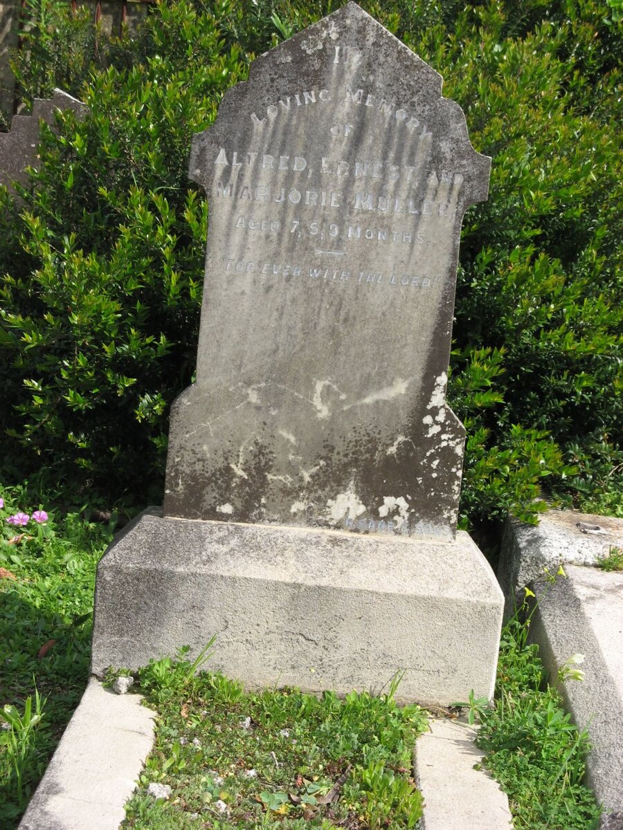 MULLER Marjorie :: MULLER Alfred :: MULLER Ernest