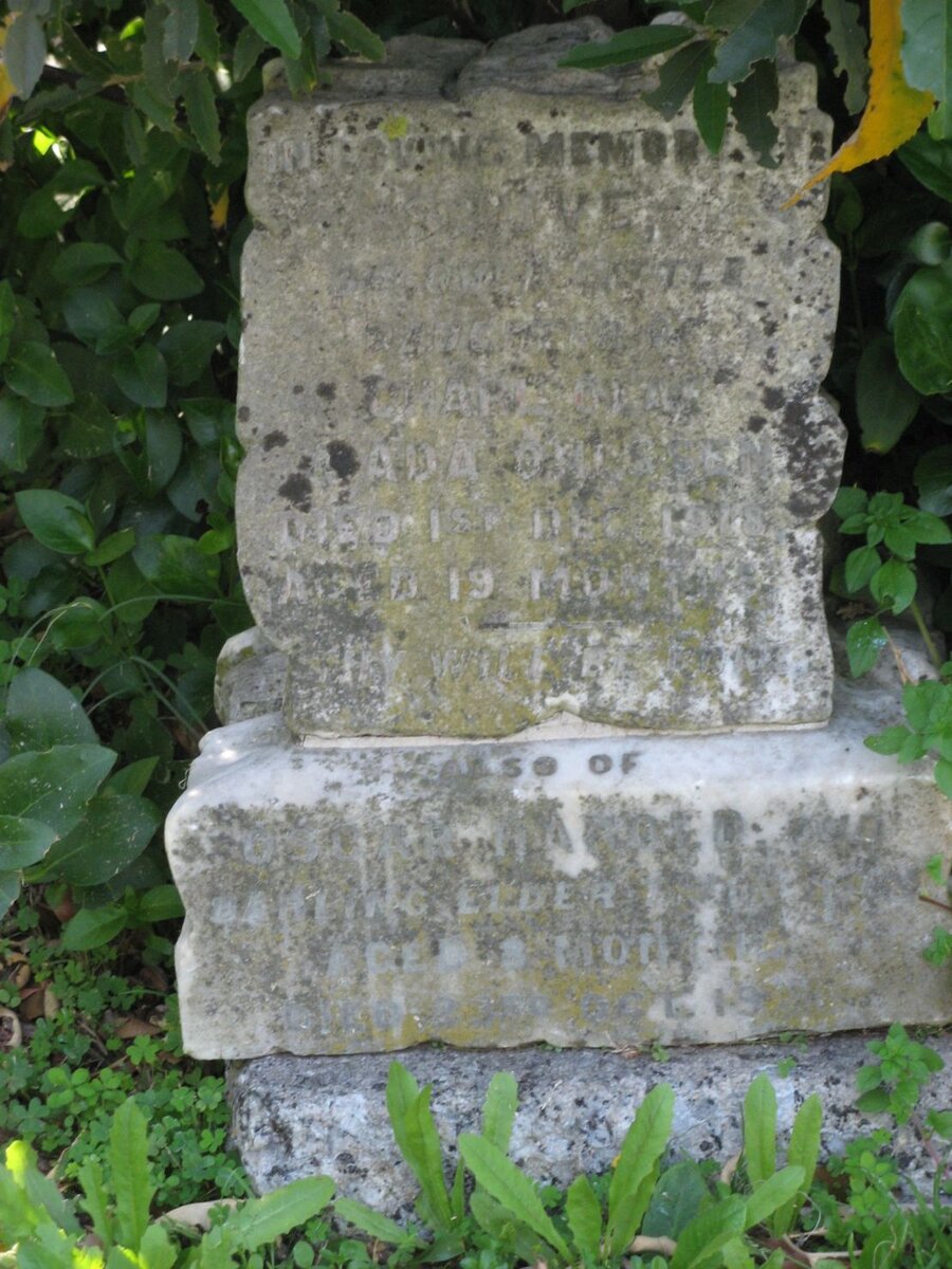 OHLSSEN Oscar Harold :: OHLSSON Charlotte Ada