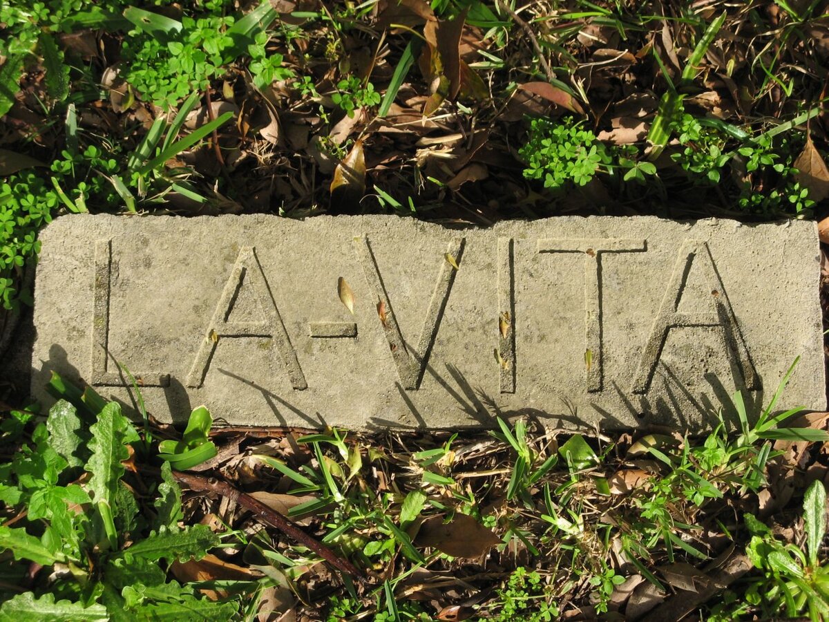 VITA, la