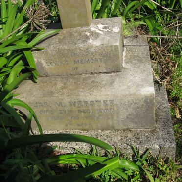 WEBSTER Jas M. -1902