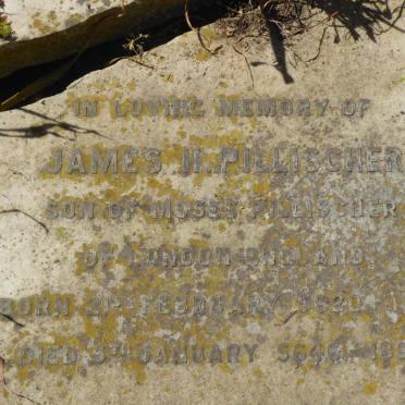 PILLISCHER James H. 1860-1886