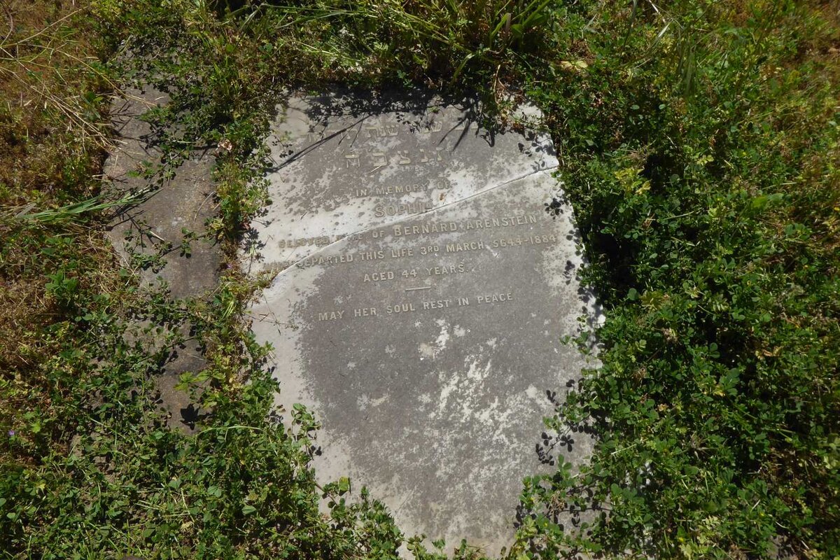 ARENSTEIN Sophia -1884