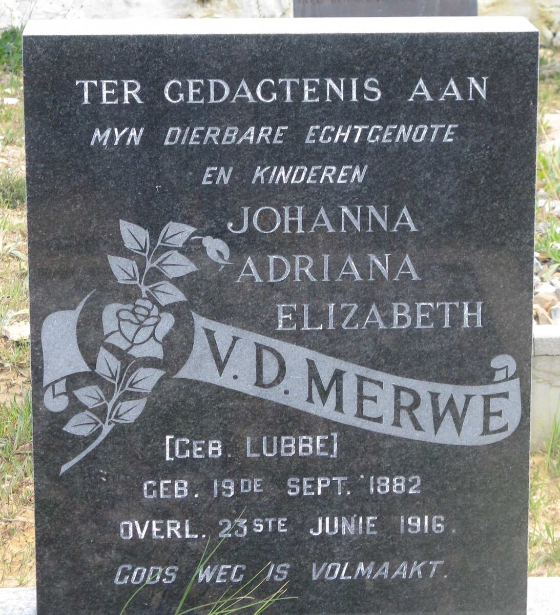 MERWE Johanna Adriana Elizabeth, v.d. nee LUBBE 1882-1916