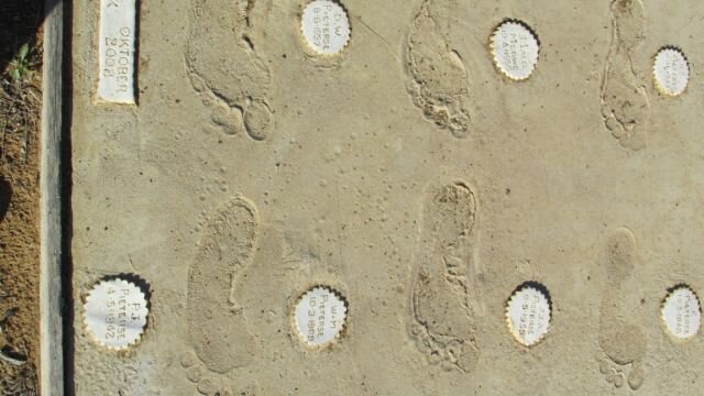 PIETERSE :: VAN DER MERWE