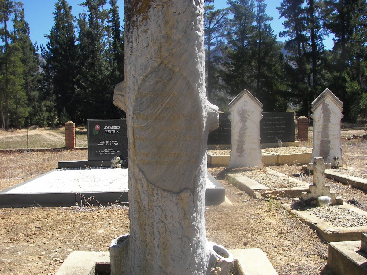 HANEKOM Abraham 1902-1928