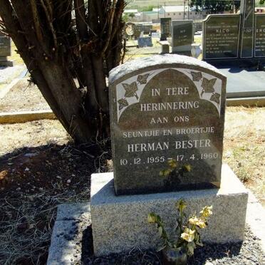 BESTER Herman 1955-1960