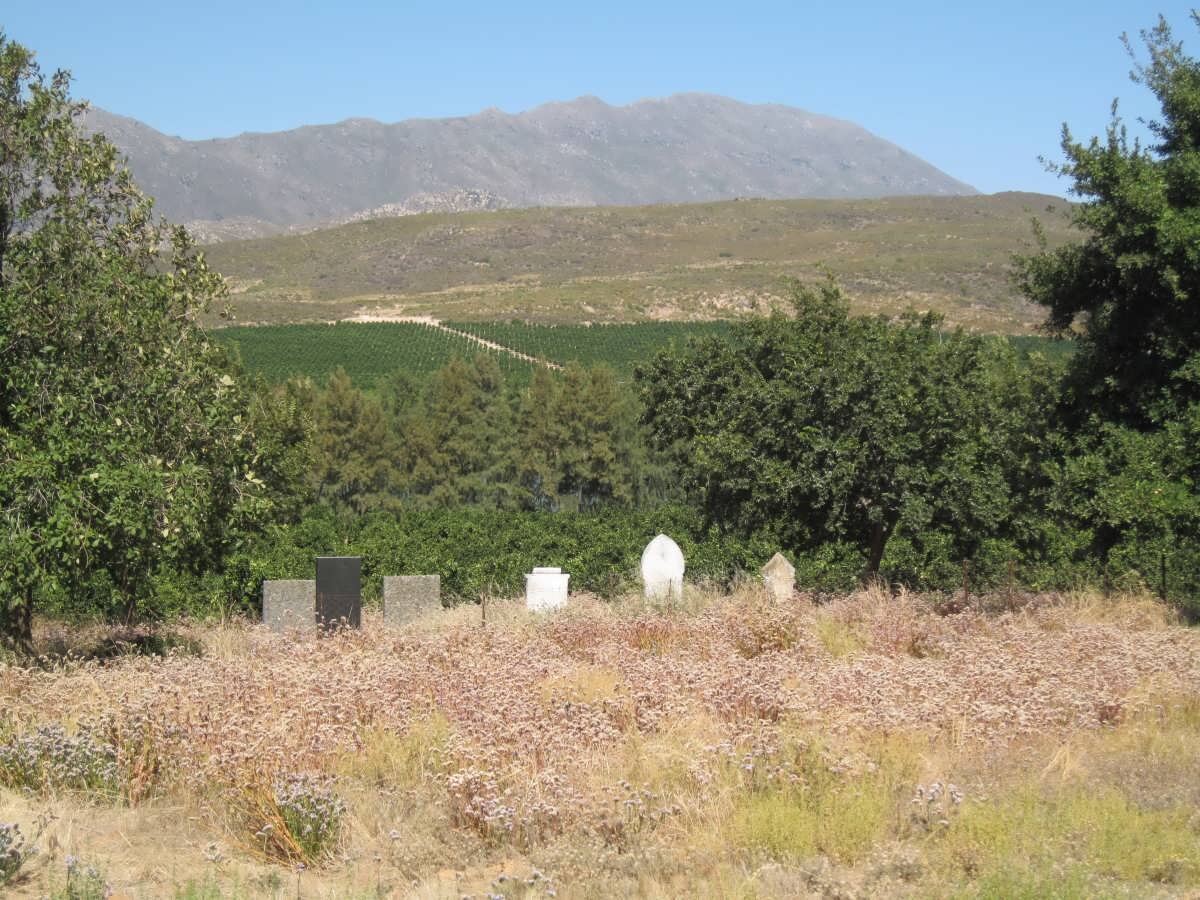 2. Oorsig oor grafte op die plaas Boontjiesrivier, Citrusdal