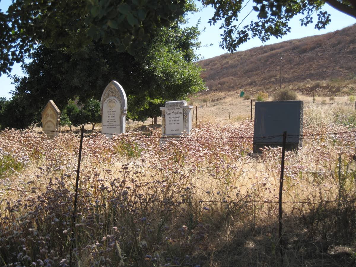 3. Oorsig oor grafte op die plaas Boontjiesrivier, Citrusdal