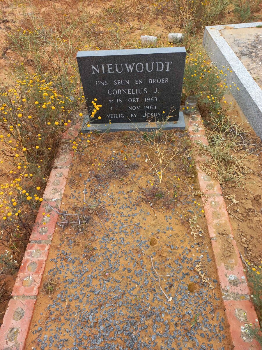 NIEUWOUDT Cornelius J. 1963-1964