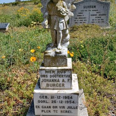 BURGER Johanna A.F. 1954