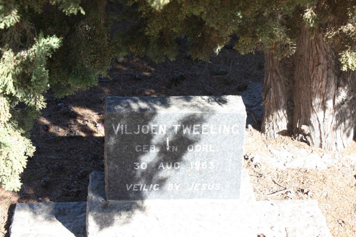 VILJOEN Tweeling 1963-1963