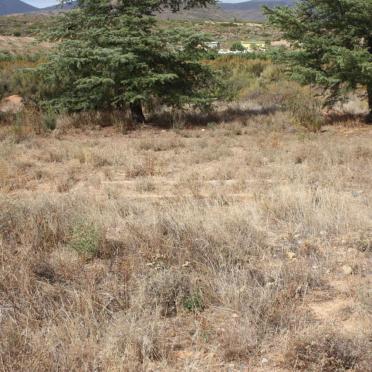 2. Oorsig Begraafplaas