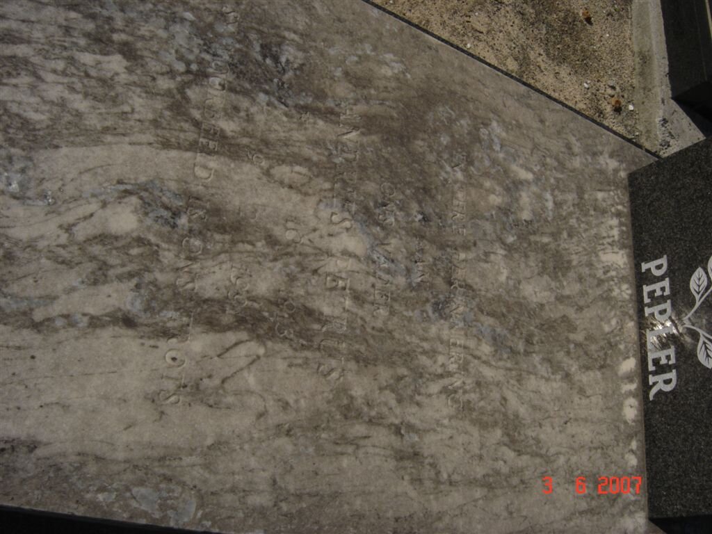 PEPLER Andries Petrus 1913-199?