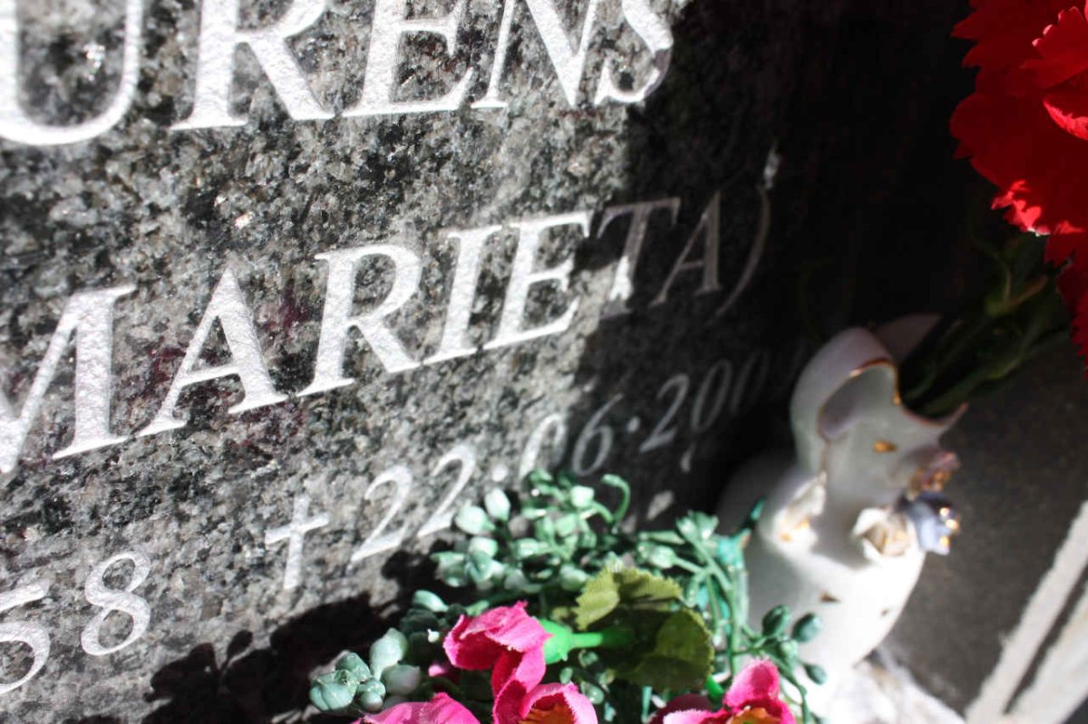 GROENEWALD Willie 1954-2007 &amp; Lourens S.M. 1958-200?