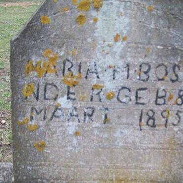 BOSTANDER Maria ?? 1895-