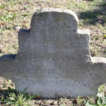 GILDENHUYS Susanna Elizabeth Johanna 1850-1923