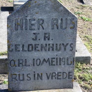 GELDENHUYS J.H. -1961