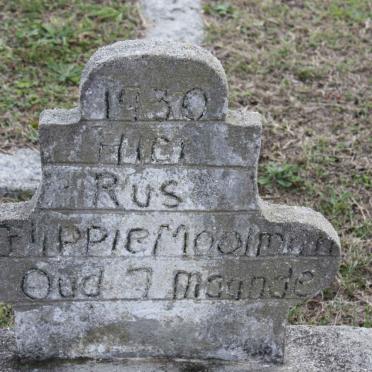 MOOLMAN Gyppie -1930