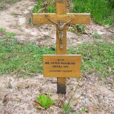 OKOLI Peter Ndubuisi 1985-2009