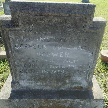 BOUWER Cornelis Johannes 1940-1941