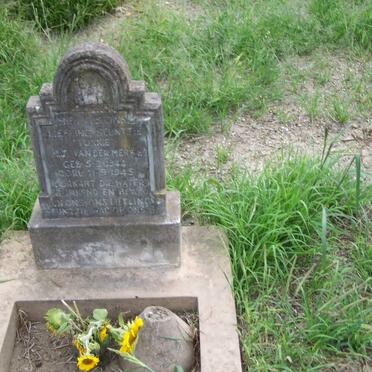 MERWE M.J., van der 1944-1945