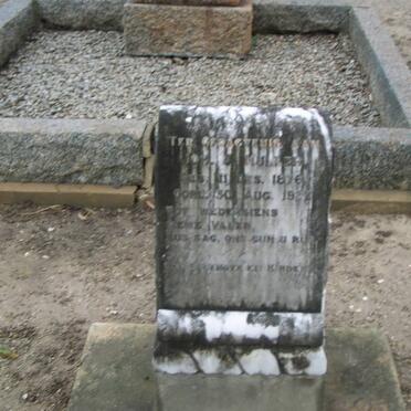 MULDER ?.?. 1876-1927