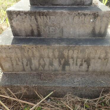 MEYER Johannes Nicholas 1924-1941