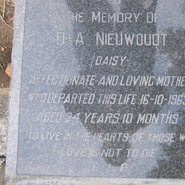 NIEUWOUDT D.A. -1963