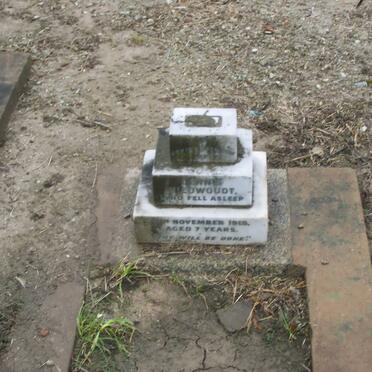 NIEUWOUDT Dennis 19??