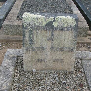 PEACOCK Walter 1864-1939