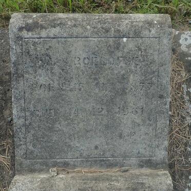 ROELOFSE M. 1877-1961