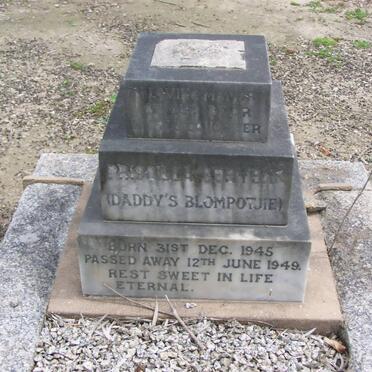 STEVENS Priscilla 1945-1949