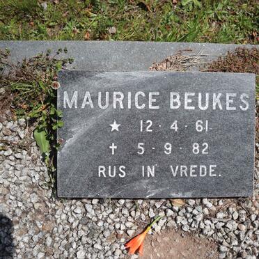 BEUKES Maurice 1961-1982