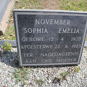 N-Surnames _ Vanne-N