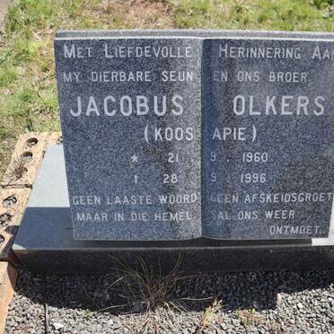 O-Surnames _ Vanne-O