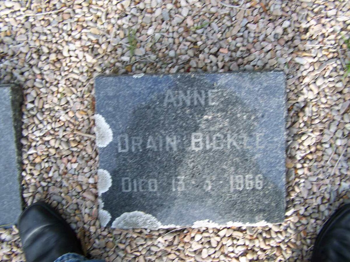 BICKLE Anne Drain -1966