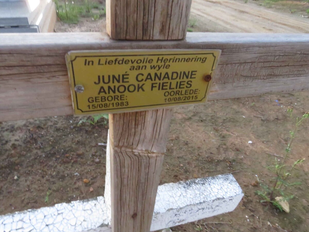 FIELIES June Canadine Anook 1983-2015