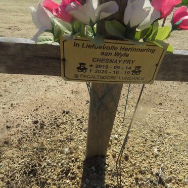 FRY Chesnay 2019-2020