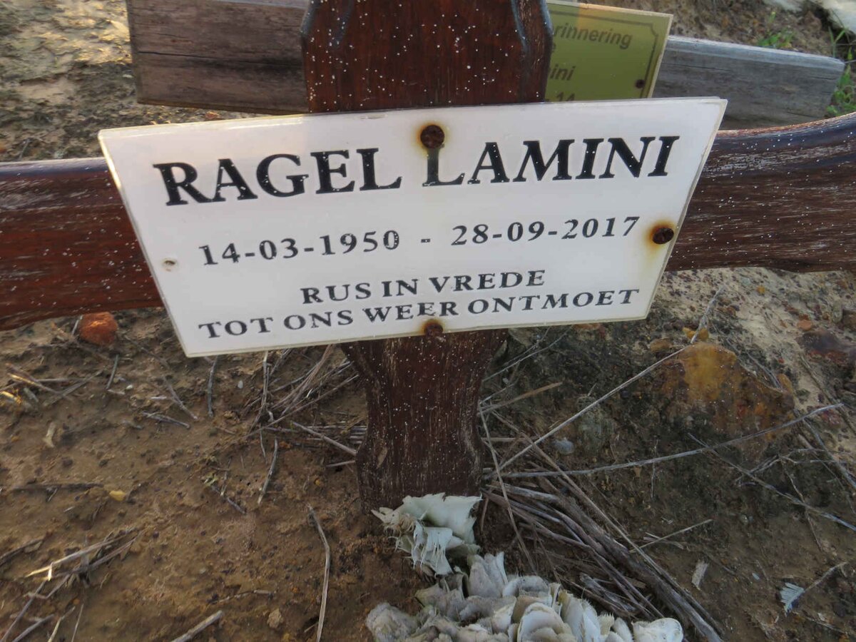 LAMINI Ragel 1950-2017