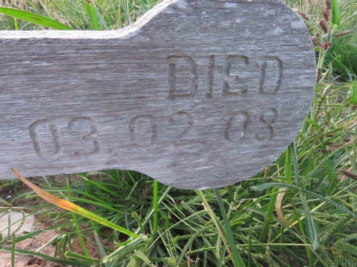 LOUW Andrew 1934-2008_4