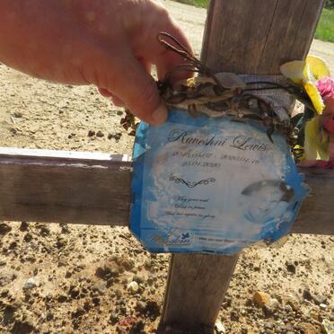 LEWIS Ruveshni 2013-2020