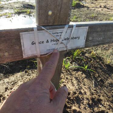 LIEBENBERG Grace 202? :: LIEBENBERG Hope 202?