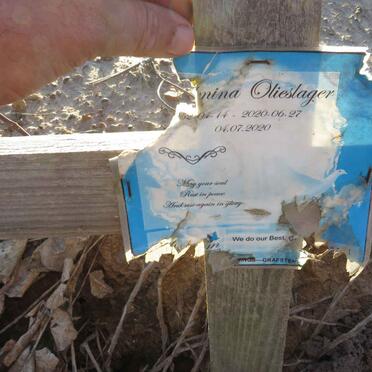 OLIESLAGER ?nina -2020