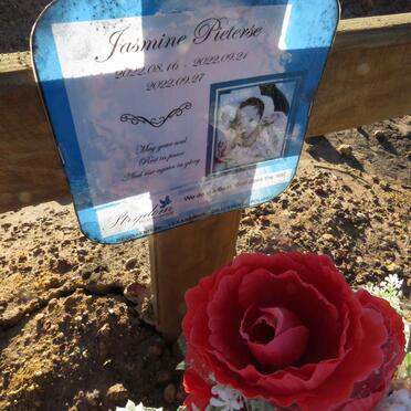 PIETERSE Jasmine 2022-2022