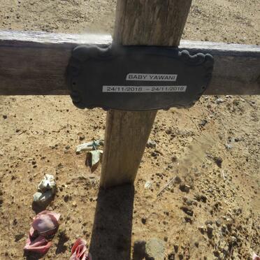 YAWANI Baby 2018-2018