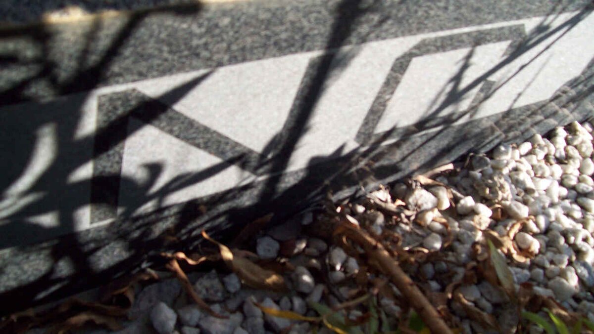 YOUNG Esias Engelbertus 1915-1965