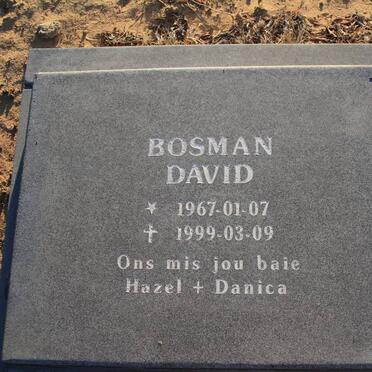 BOSMAN David 1967-1999