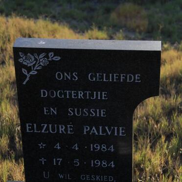 PALVIE Elzure 1984-1984