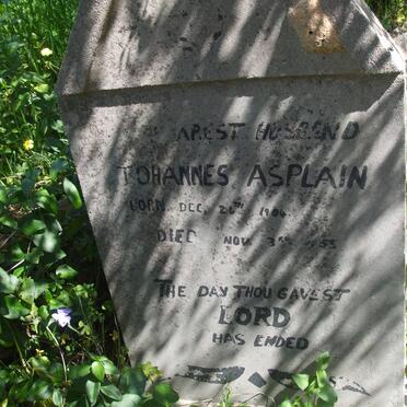 ASPLAIN Johannes 1904-1955